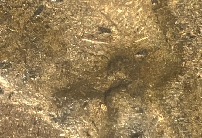 1942-P-Lincoln-Cent-DDO-FS-103---Incorporating-Dearborn's-Tip