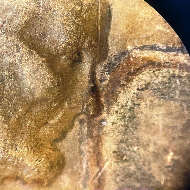 1942-P-Lincoln-Cent-Obverse-Pre-Cud?