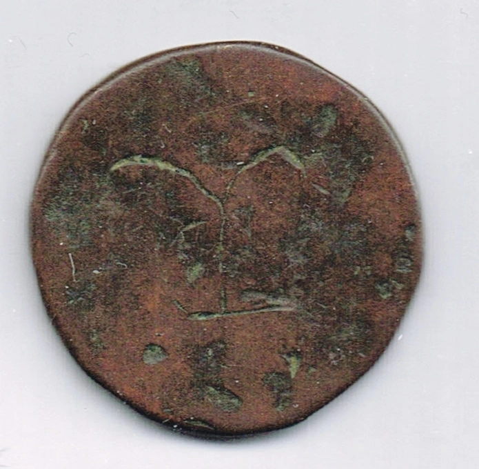 Unidentified-Asian-Copper-Coin