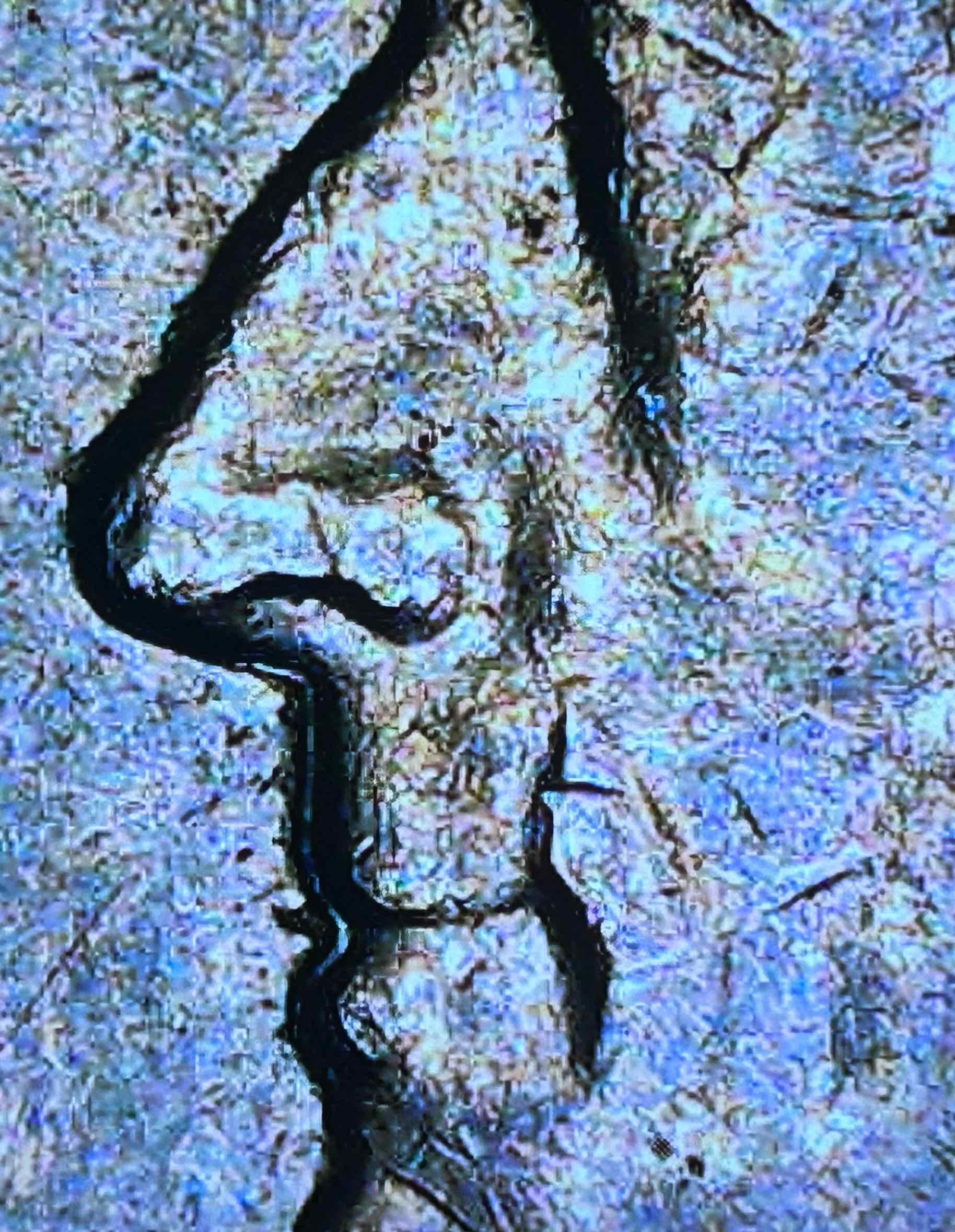 1985-D-Jefferson-Nickel-/-MD-Or-DD?