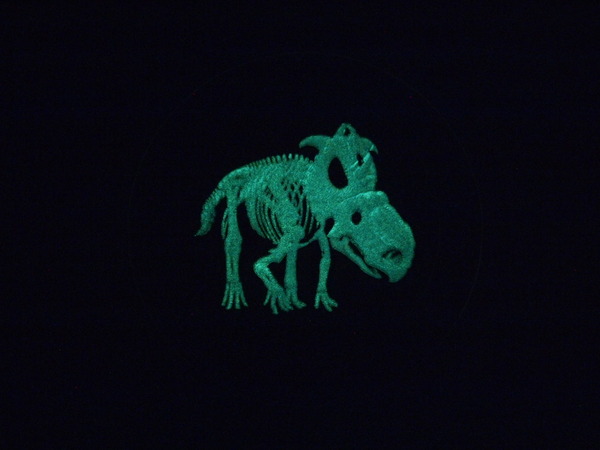 Glow-In-The-Dark---Pictures-Of-Coin-In-Hand--And-Glowing!-
