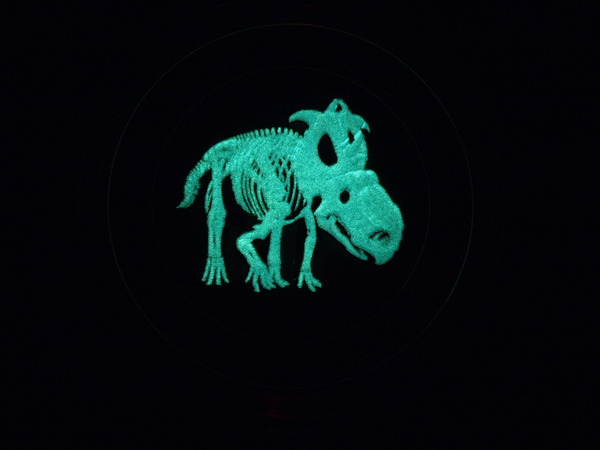 Glow-In-The-Dark-Quarter
