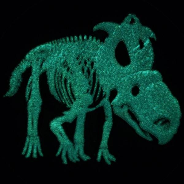 Glow-In-The-Dark---Pictures-Of-Coin-In-Hand--And-Glowing!-
