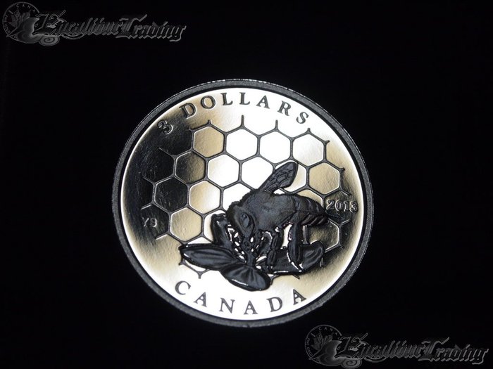Bee-Hive..-The-Neglected-Coin-Of-The-April-2013-Issue