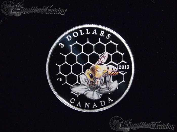 Bee-Hive..-The-Neglected-Coin-Of-The-April-2013-Issue