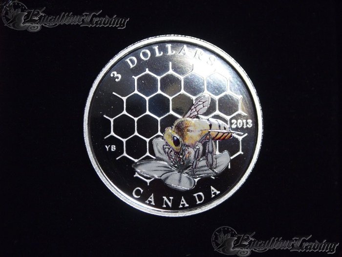 Bee-Hive..-The-Neglected-Coin-Of-The-April-2013-Issue