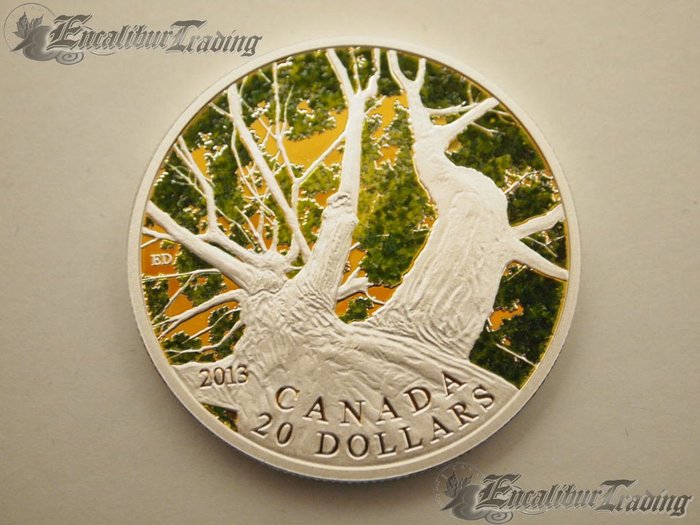 What-About-The-1-Oz....maple-Canopy-Coin
