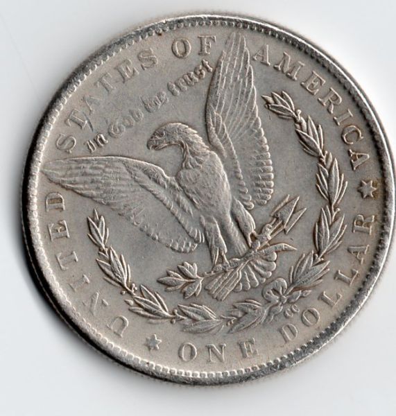 My-Latest-Morgan-Dollar-Pick-Up