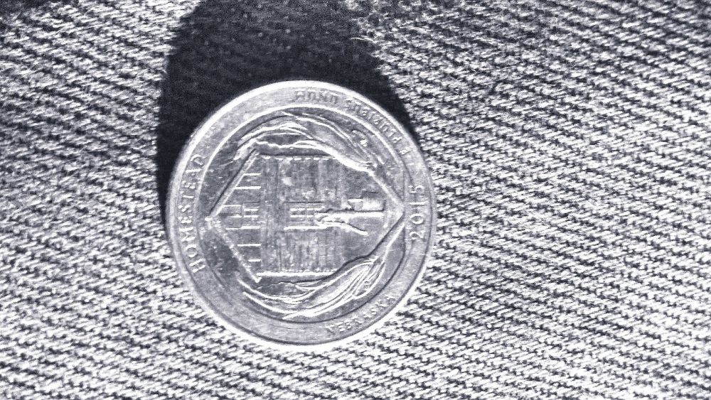 Hello,-Newguy-I-Have-A-Potential-2015-Homestead-Quarter