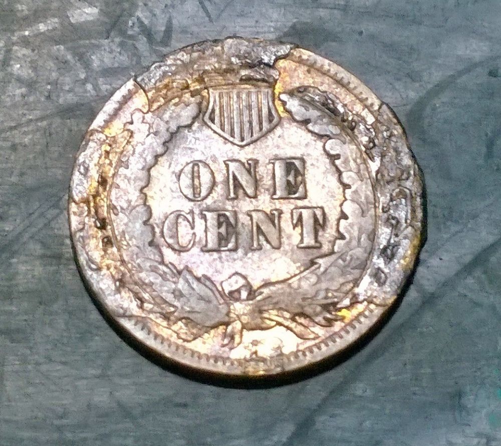 5-Indian-Heads-Coin-Newb-No-Grading-Skillz