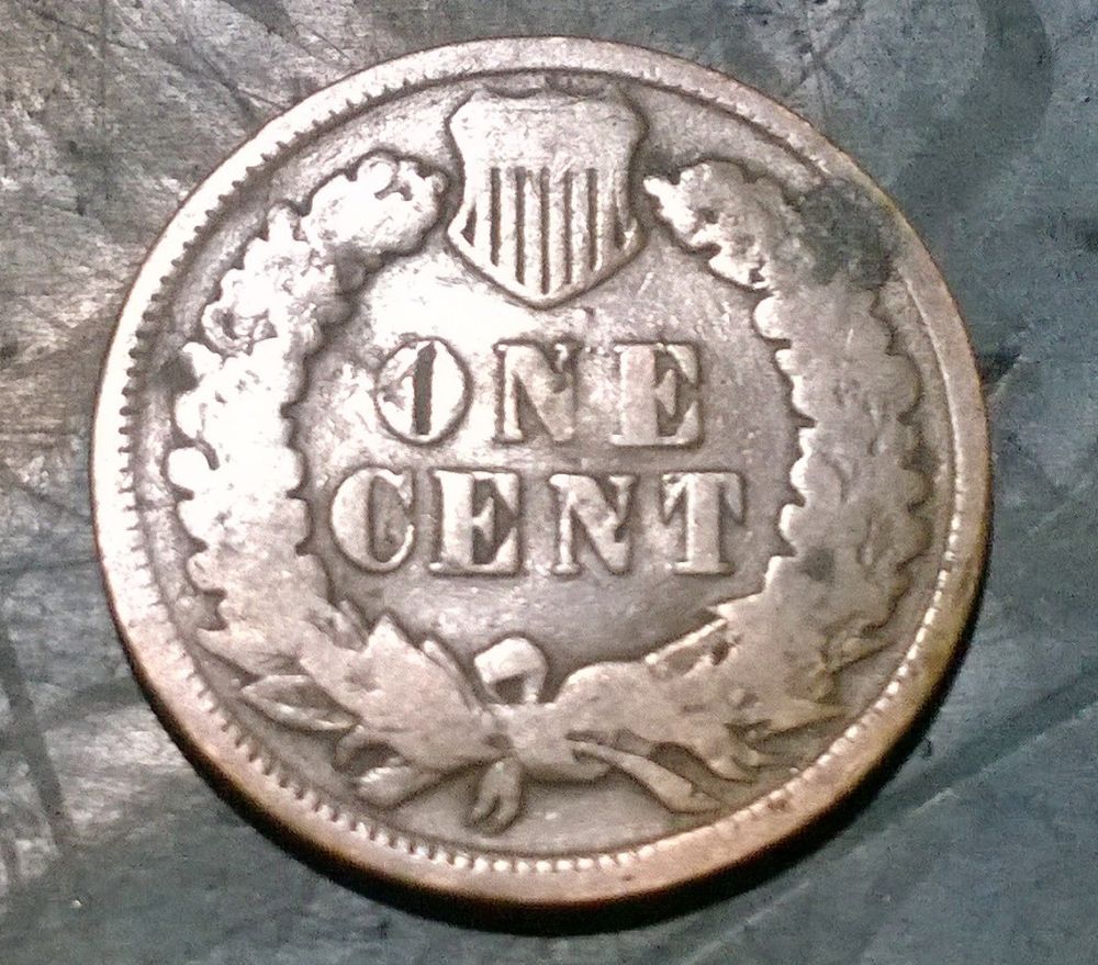 5-Indian-Heads-Coin-Newb-No-Grading-Skillz