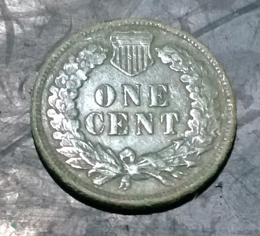 5-Indian-Heads-Coin-Newb-No-Grading-Skillz