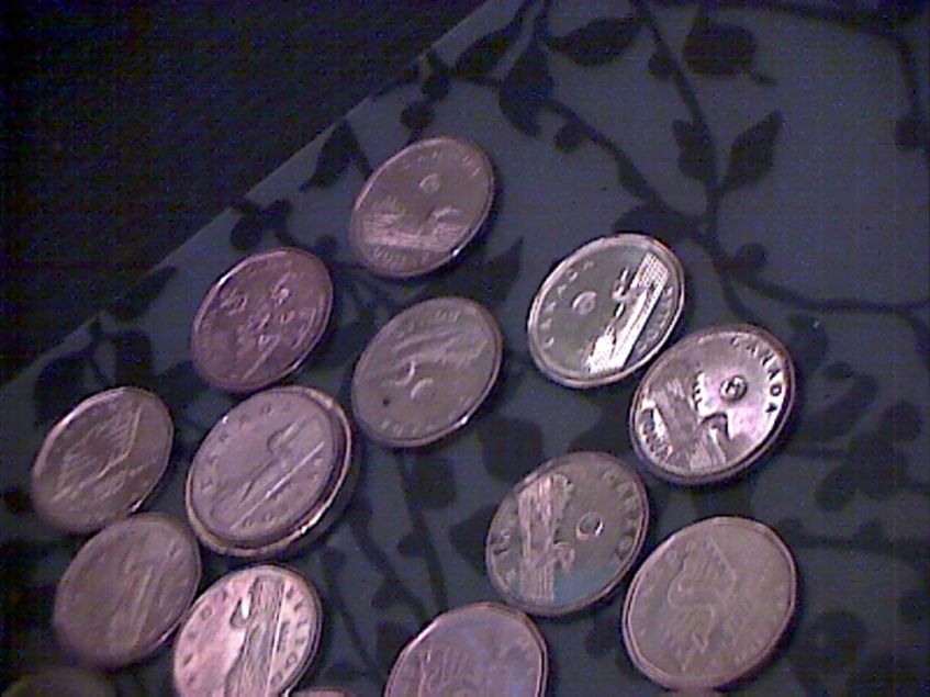 Look-A-Giant-Loonie!