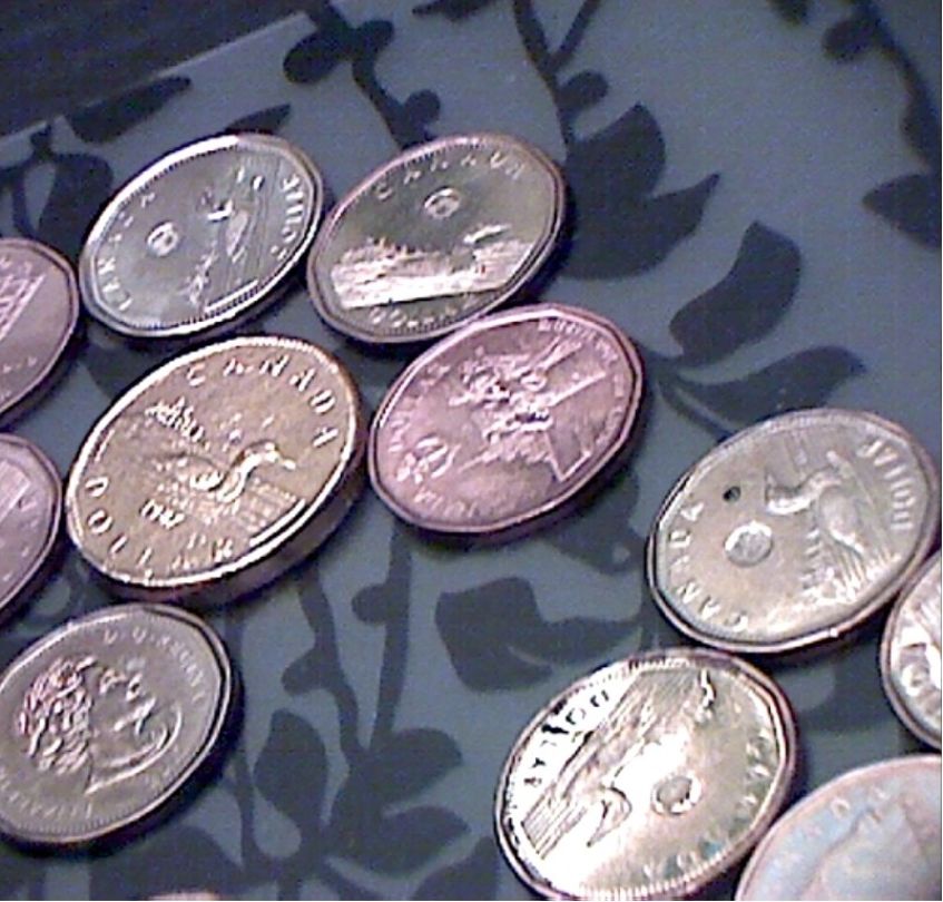 Look-A-Giant-Loonie!