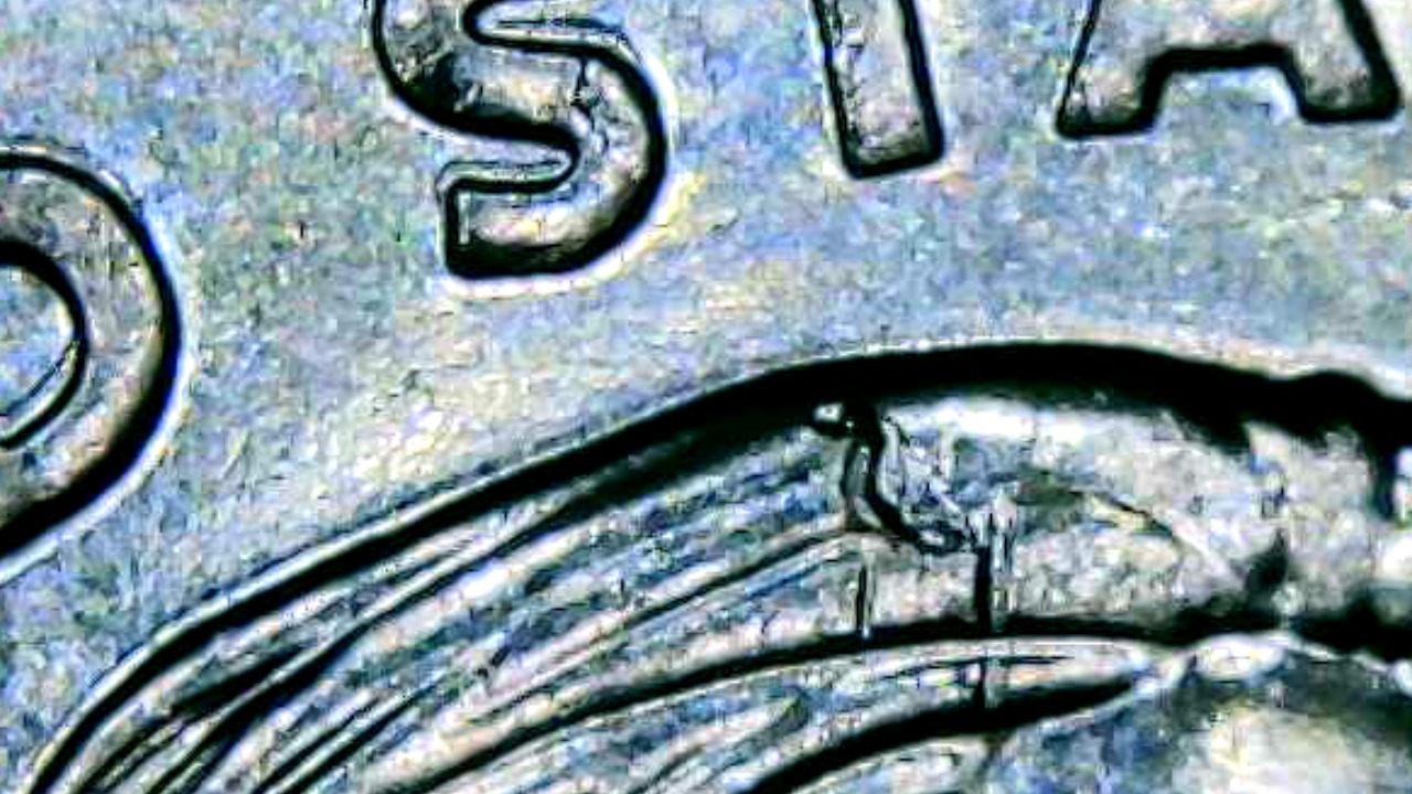 I-Have-A-2022-D-Wilma-Mankiller-Quarter-It-Looks-Like-Some-Sorta-Crack-In-Wilmas-Hair