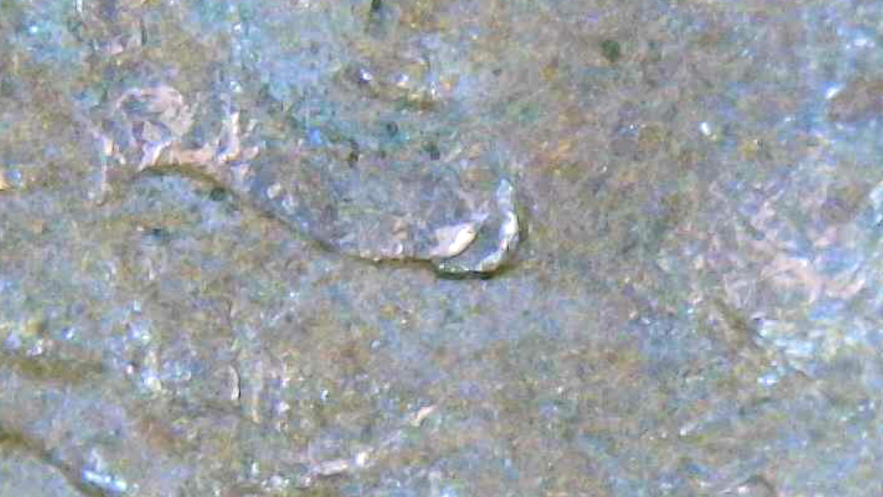 1974-Penny-Is-This-A-Double-Ear-Or-Just-Damage