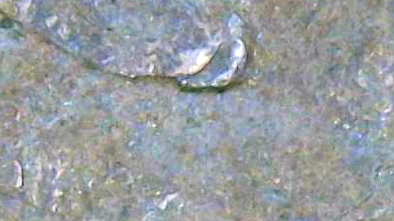 1974-Penny-Is-This-A-Double-Ear-Or-Just-Damage