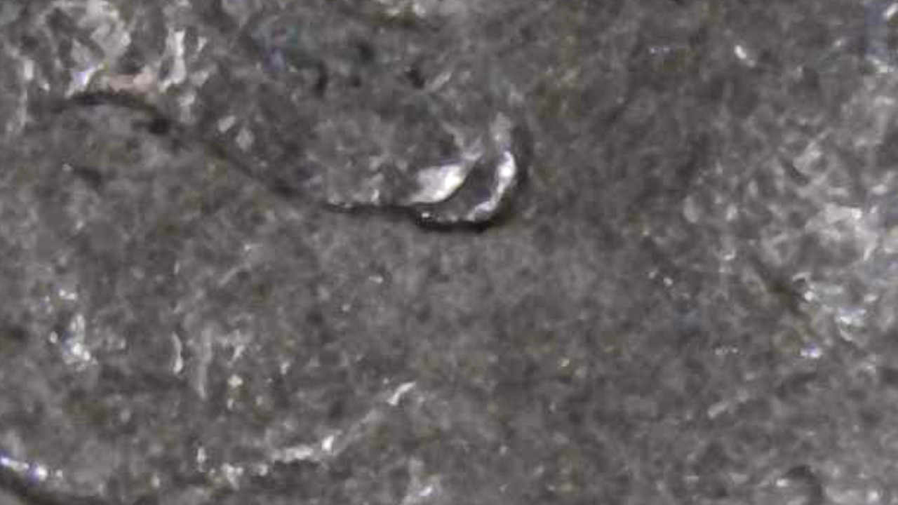 1974-Penny-Is-This-A-Double-Ear-Or-Just-Damage