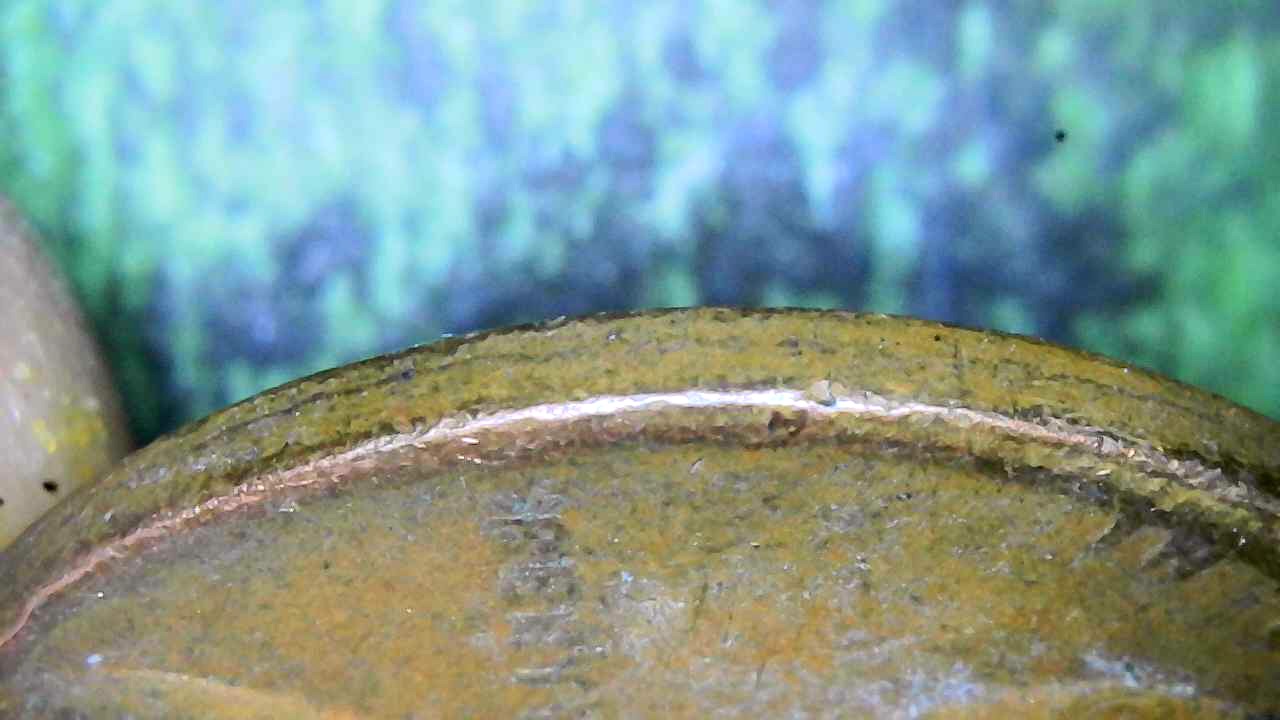 On-My-1946-S-Penny-Why-Is-The-L-&-I-In-Liberty-Missing-And-The-46-In-1946-Is-Almost-Gone