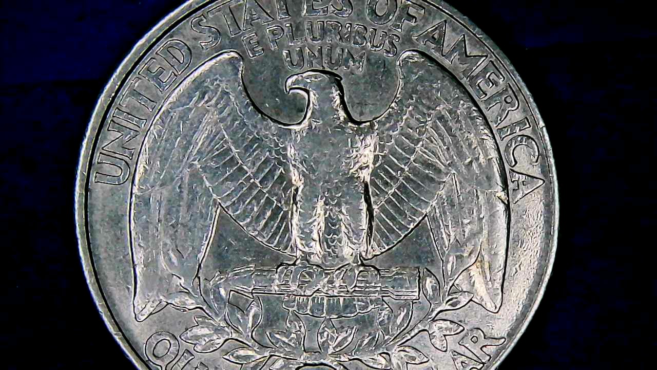 1993-D-Quarter-On-The-Leaf-Next-To-The-Tip-Of-The-Wing-Is-It-Damage-Or-An-Error