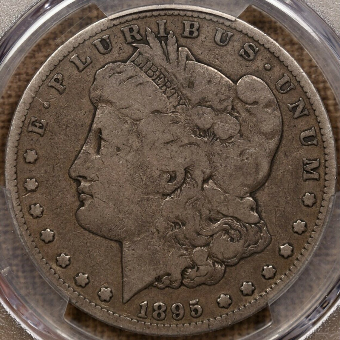 1895-S-Morgan-.-Your-Opinion?