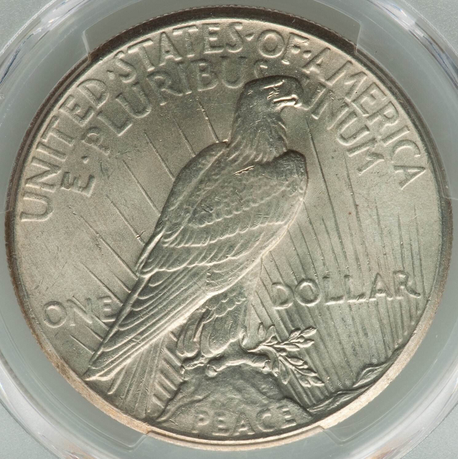 1928-Peace-Dollar:-Did-PCGS-Get-It-Right?