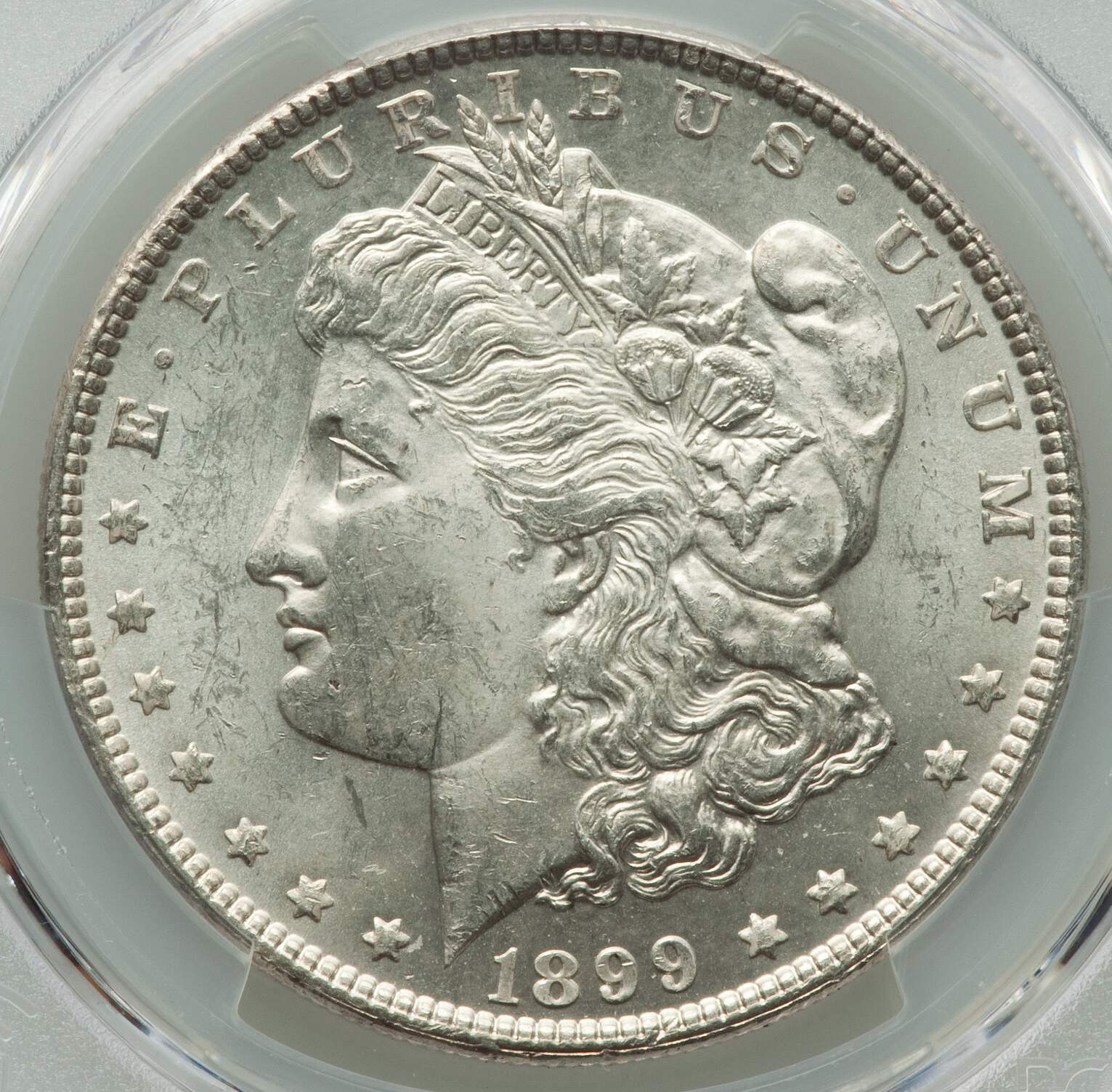 1899-Morgan-PCGS:-Light-Wounds,-Nice-Luster