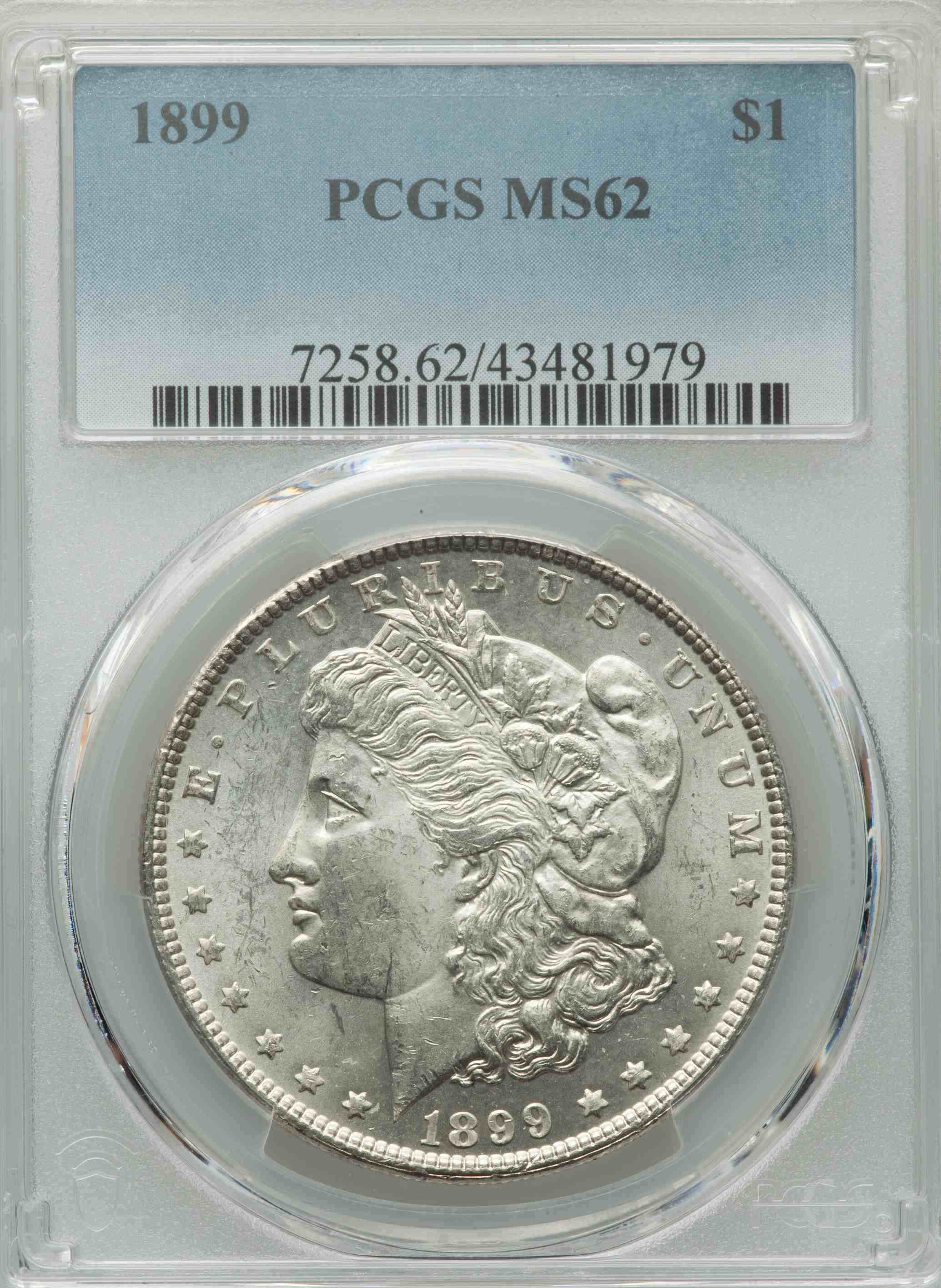 1899-Morgan-PCGS:-Light-Wounds,-Nice-Luster
