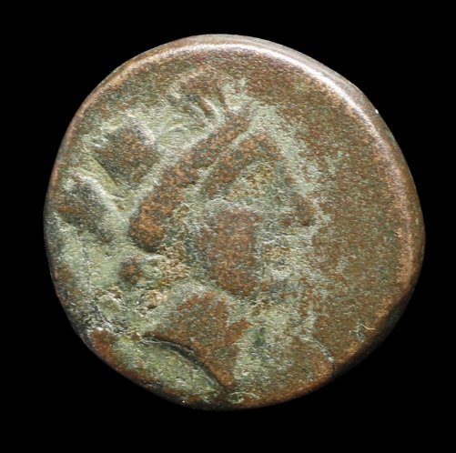 Help-ID---Phoenicia?