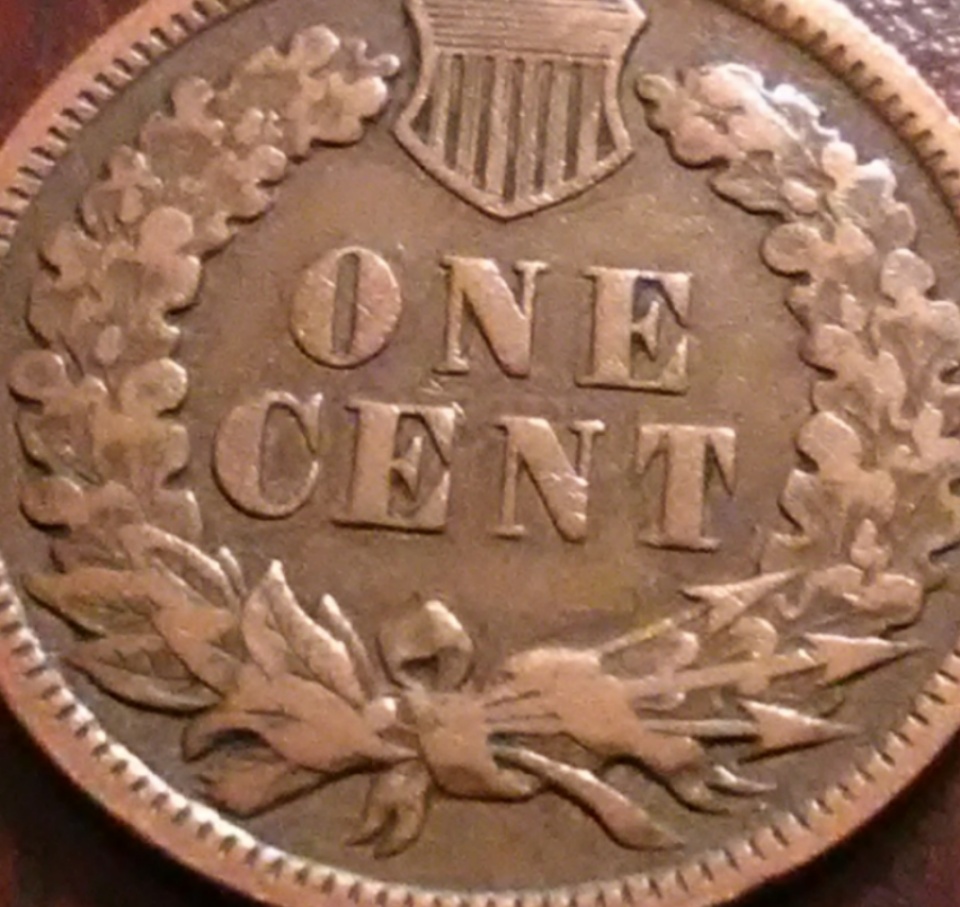Indian-Head-Pennies.