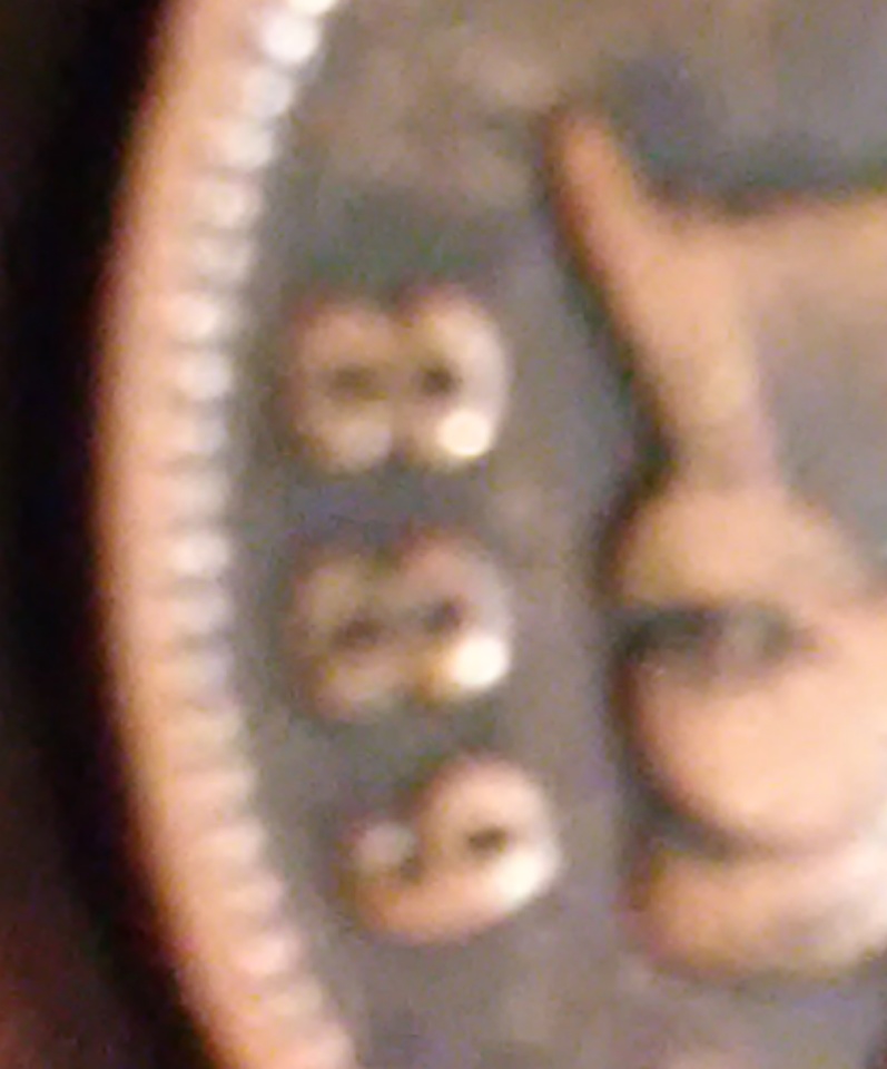 Indian-Head-Pennies.