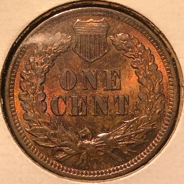 1904-IHC-For-Grading