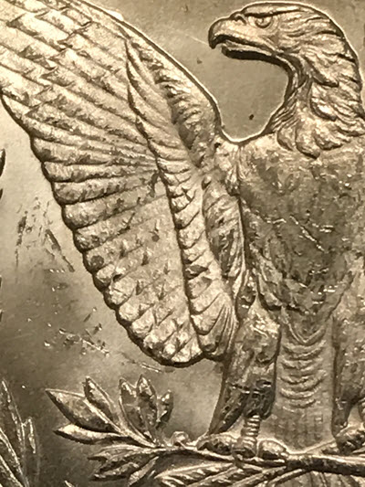 Thoughts-On-This-1883-CC-GSA-Morgan