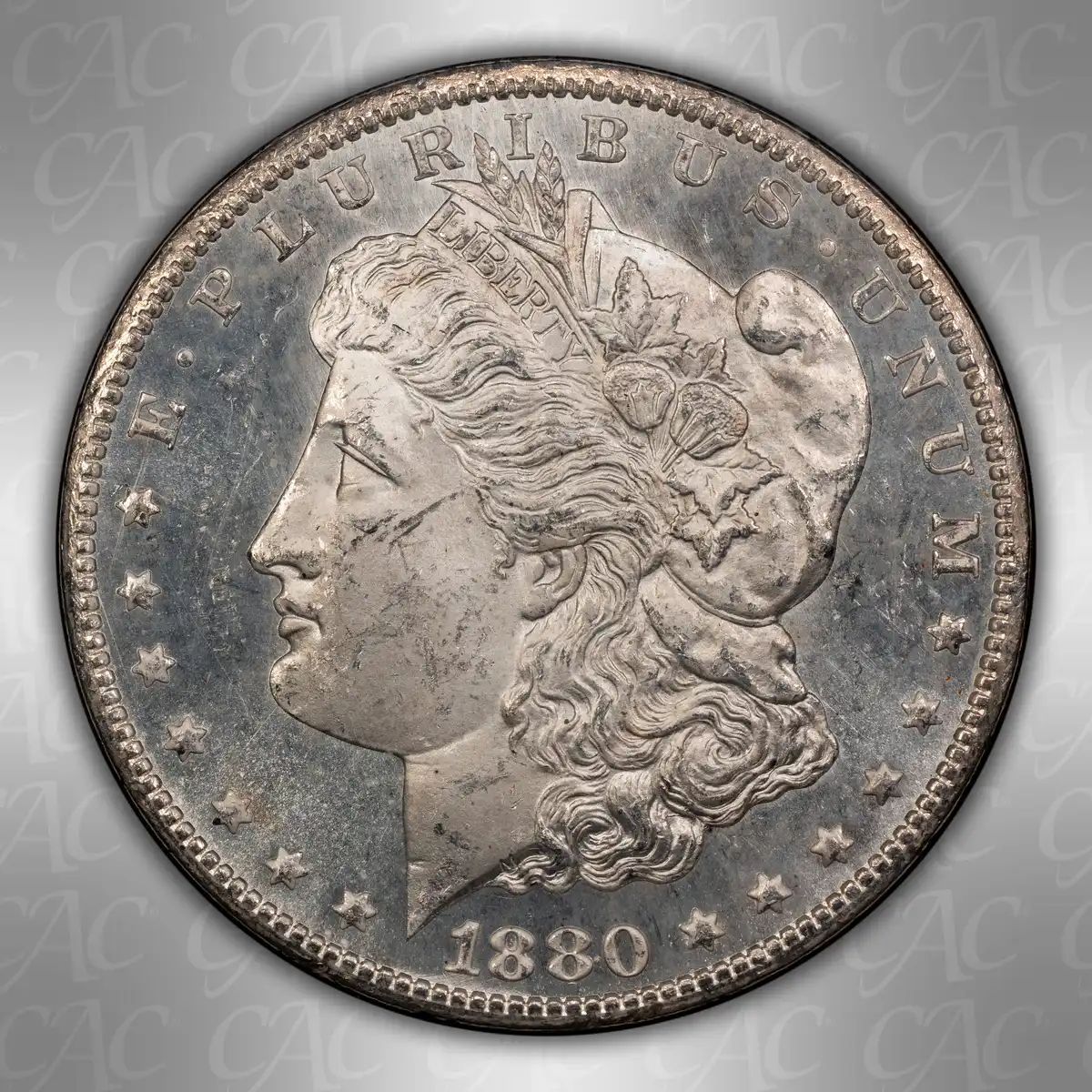 1880-CC-GSA-$1:-You-Vs-CACG