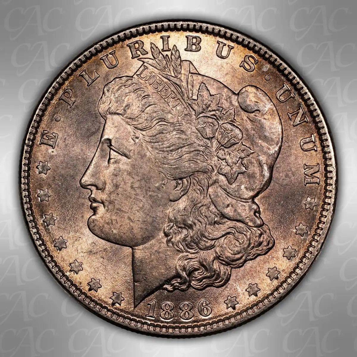 1886-$1:-You-Vs.-CACG