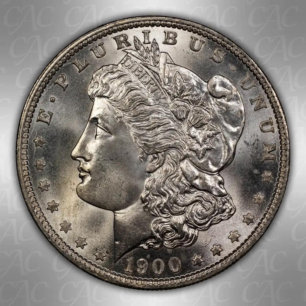 1900-O-$1:--You-Vs.-CACG-#1