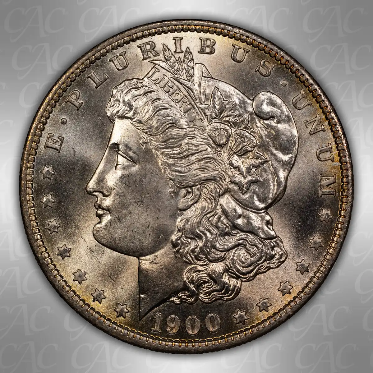 1900-O-$1:--You-Vs.-CACG-#2