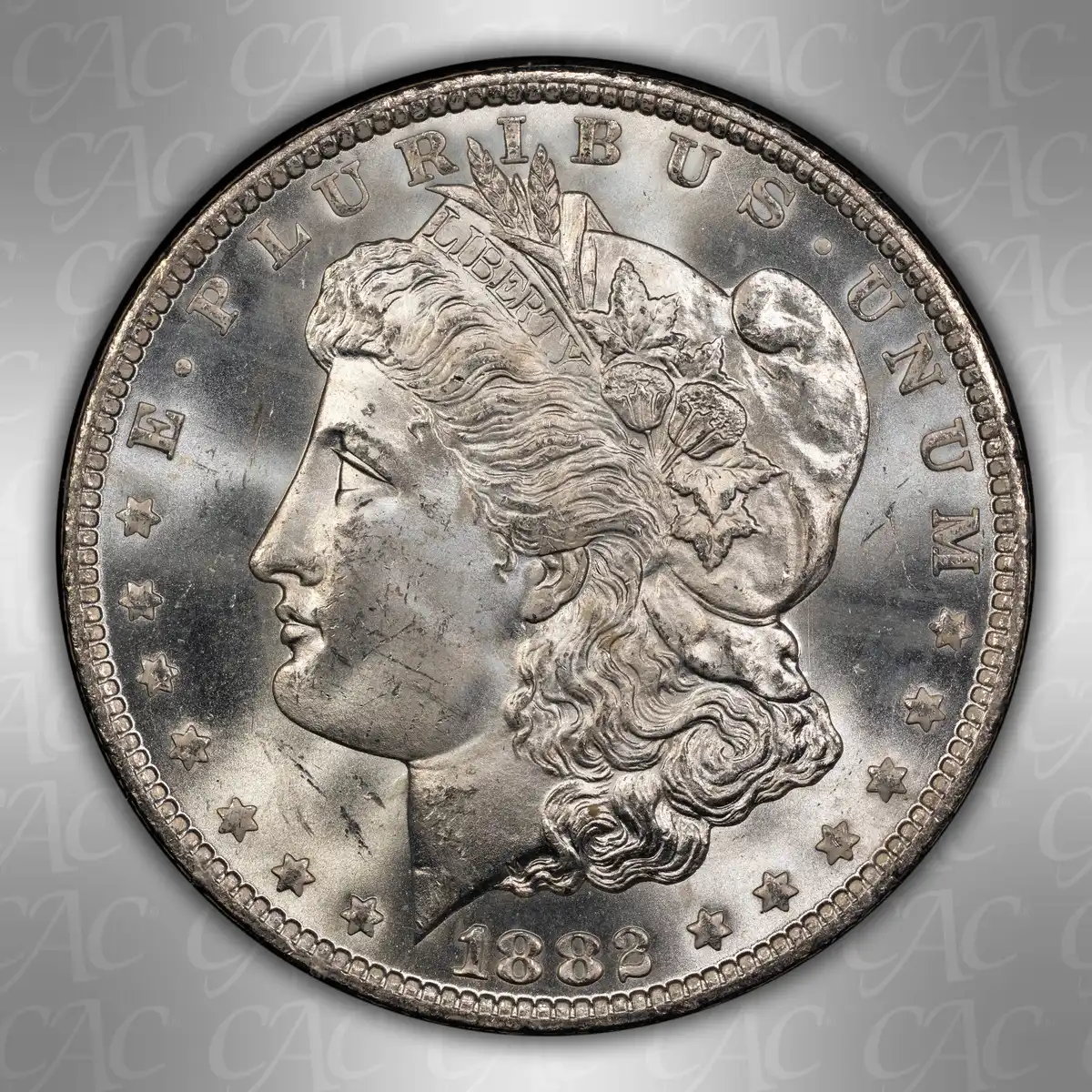 1882-CC-GSA-$1:-You-Vs.-CACG-#1