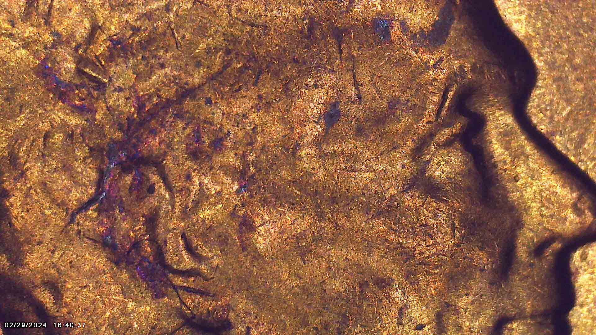 1964-D-Penny-With-A-Small-Strip-Missing-Of-It-And-I-Have-That-Piece-With-It.