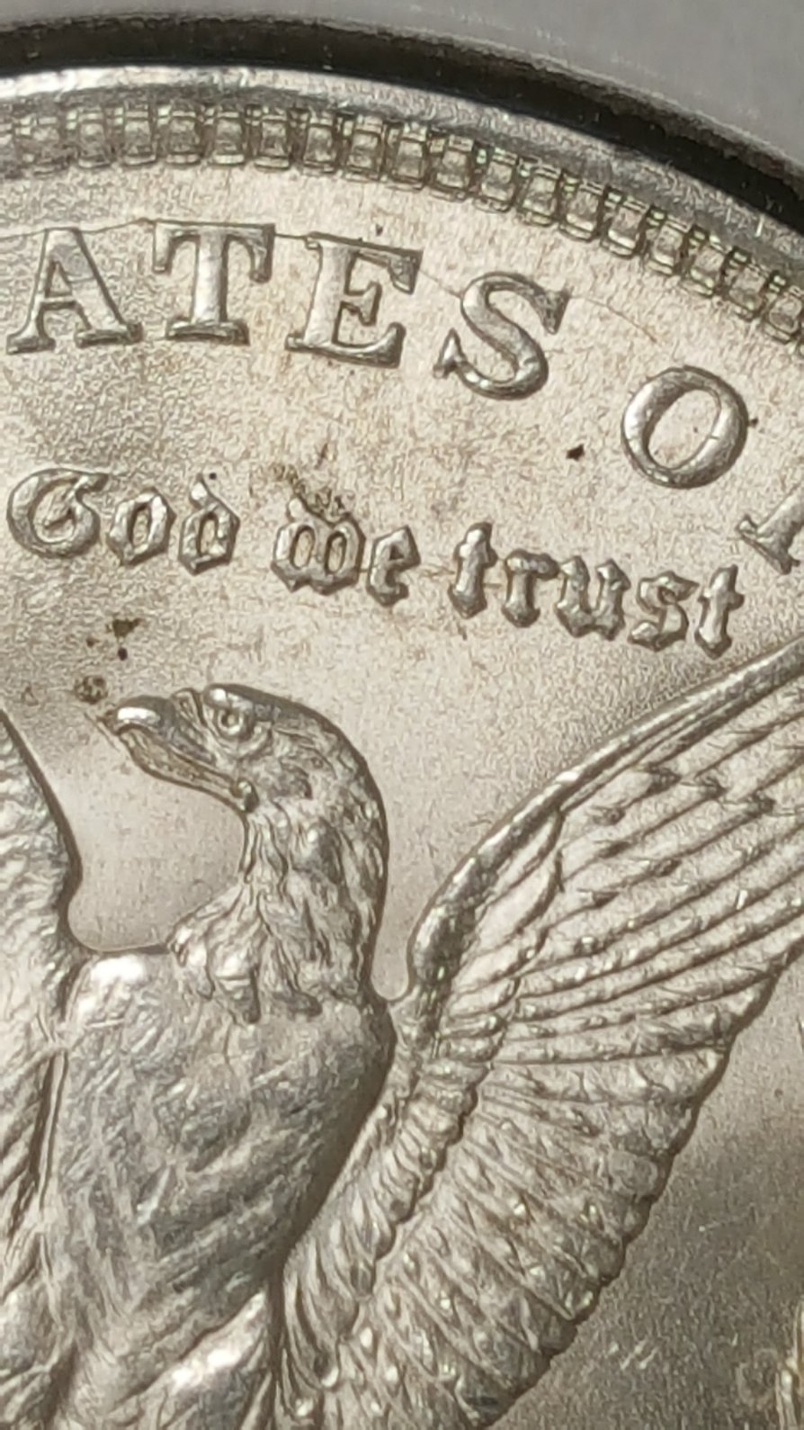 1921-P-Morgan-Dollar.-What-VAM-Is-It?-New?--What-Kind-Of-Grade?-Any-Info-Ty