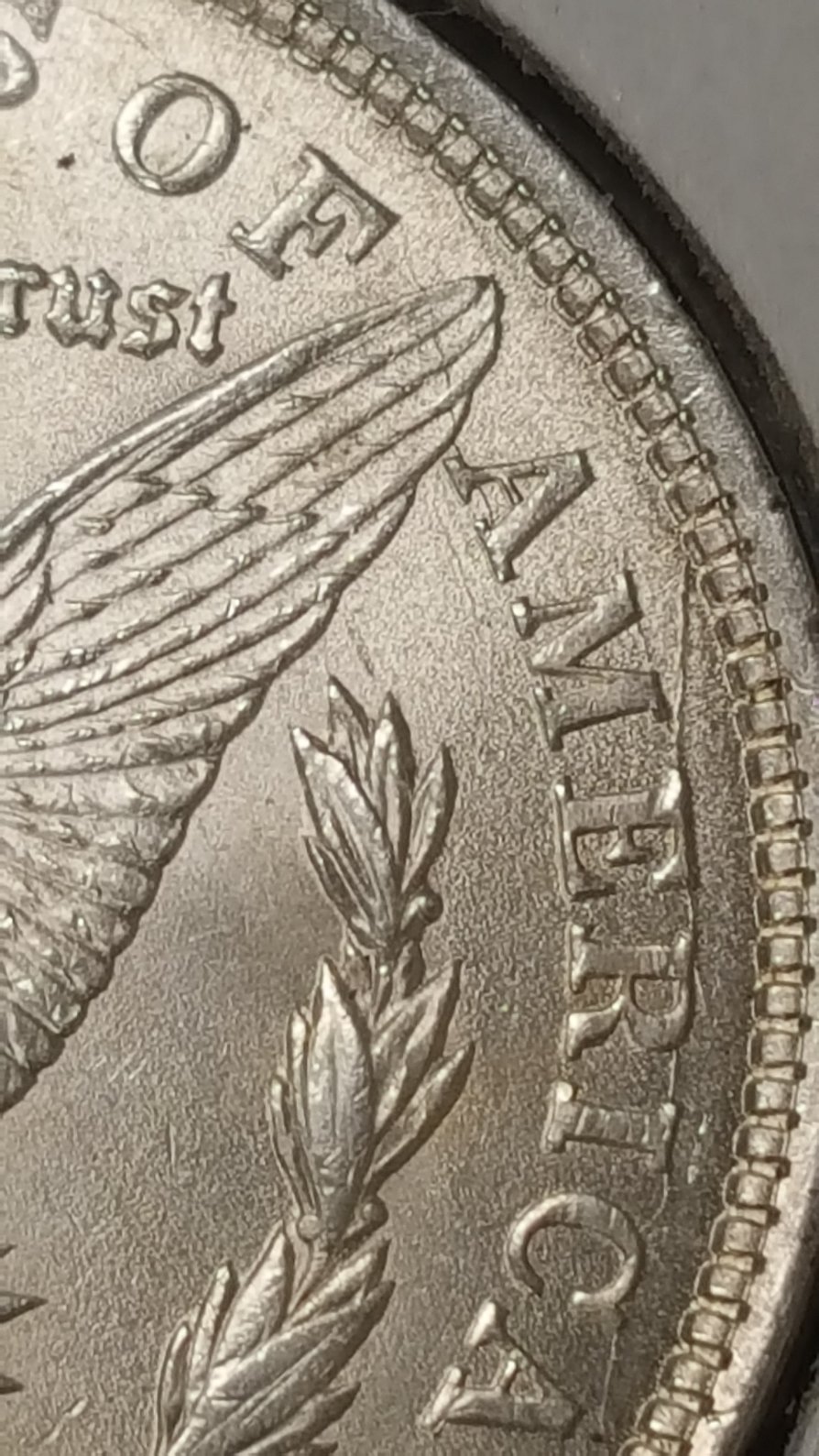 1921-P-Morgan-Dollar.-What-VAM-Is-It?-New?--What-Kind-Of-Grade?-Any-Info-Ty