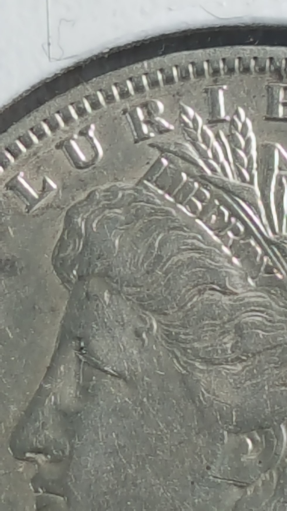 1891-O-Morgan-Dollar.-Cant-Figure-Out-What-Type-Of-VAM-It-Is.-Please-Help!?