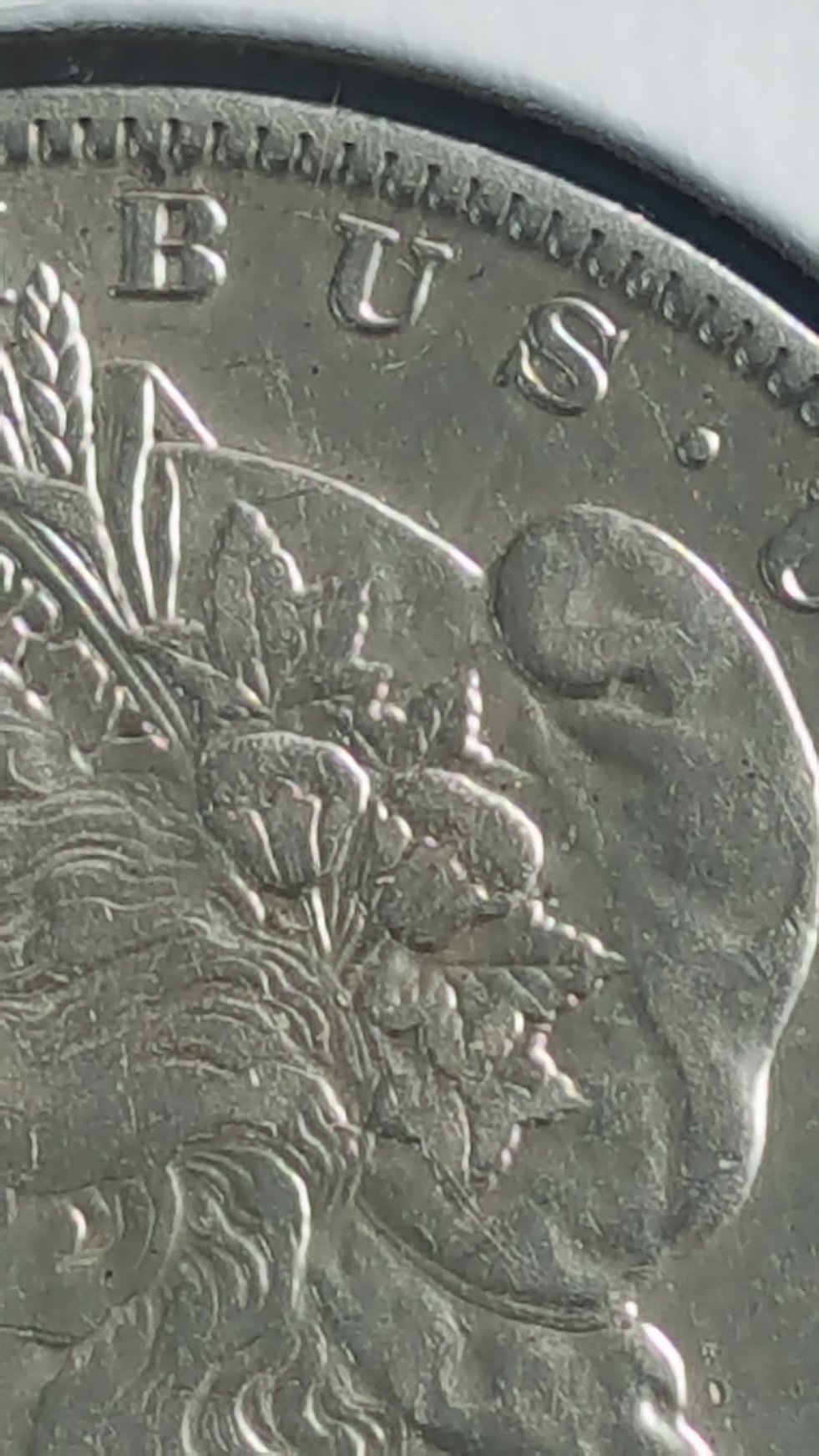 1891-O-Morgan-Dollar.-Cant-Figure-Out-What-Type-Of-VAM-It-Is.-Please-Help!?