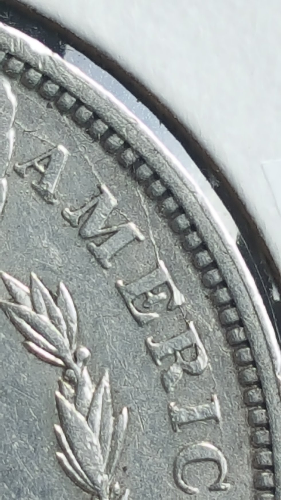 1891-O-Morgan-Dollar.-Cant-Figure-Out-What-Type-Of-VAM-It-Is.-Please-Help!?