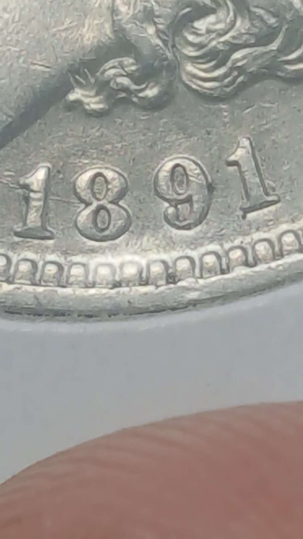 1891-O-Morgan-Dollar.-Cant-Figure-Out-What-Type-Of-VAM-It-Is.-Please-Help!?