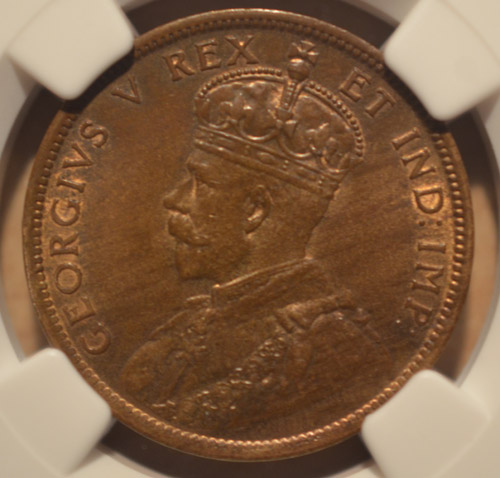 1911-Large-Cent---You-Vs.-NGC