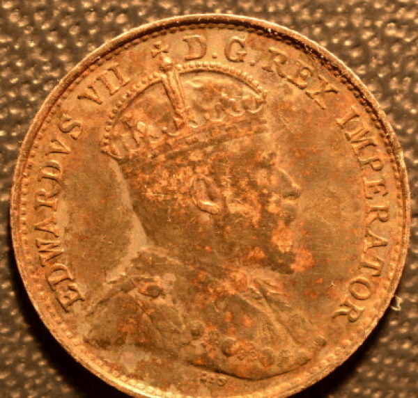 1908-5-Cent---What-Do-You-Think?