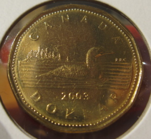 2003-Loon-Dollar-Question