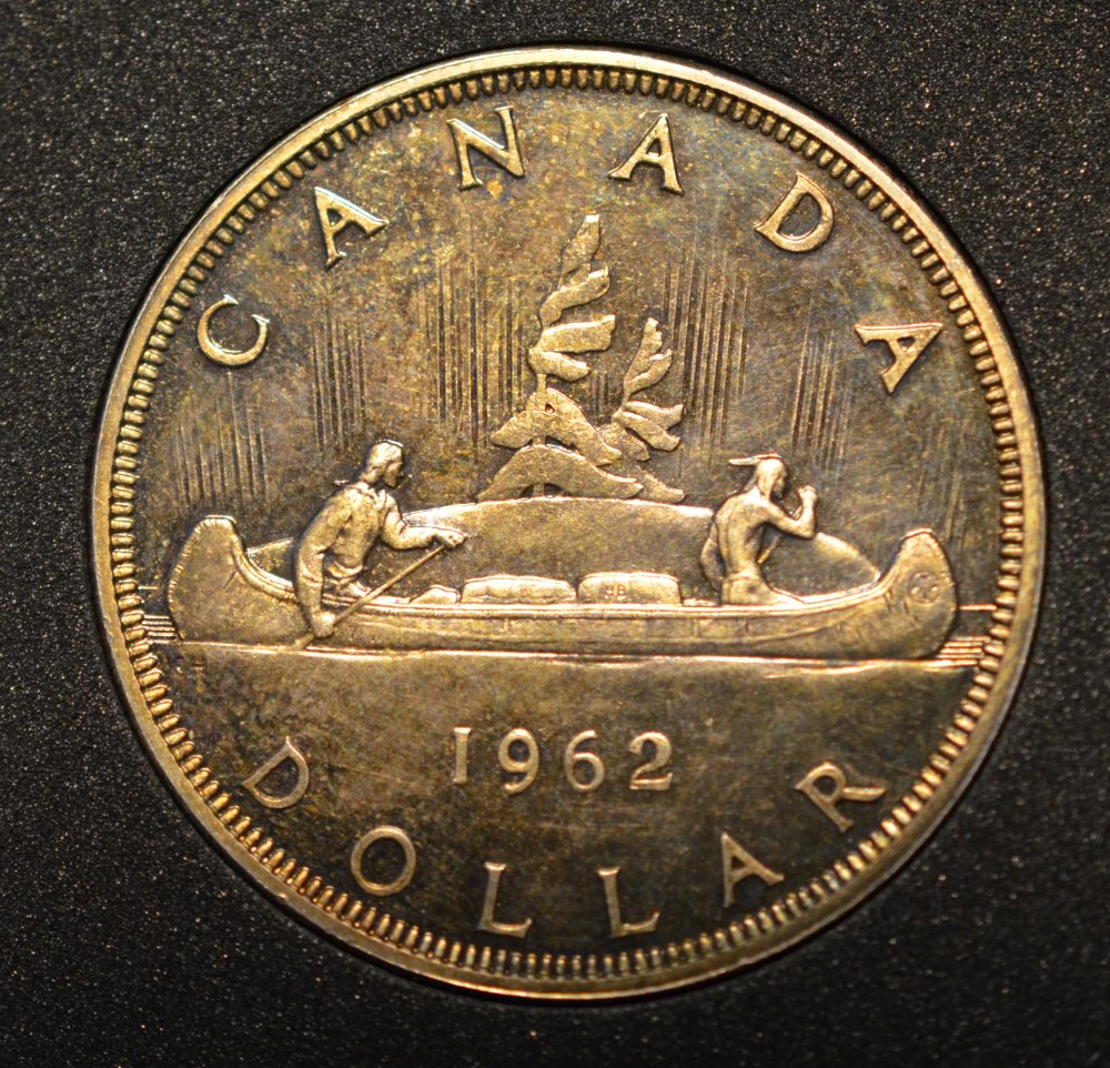 Specimen-Dollar-On-Ebay?