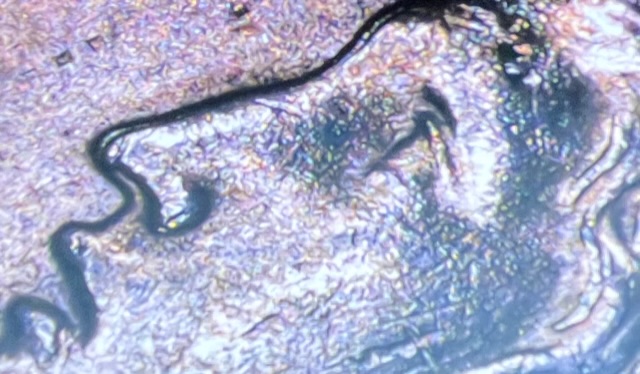 1922-Peace-Dollar-DDO?